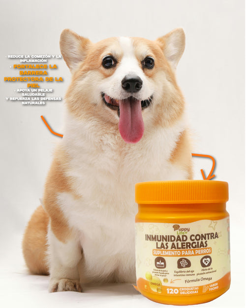 INMUNIDAD PARA ALERGIAS