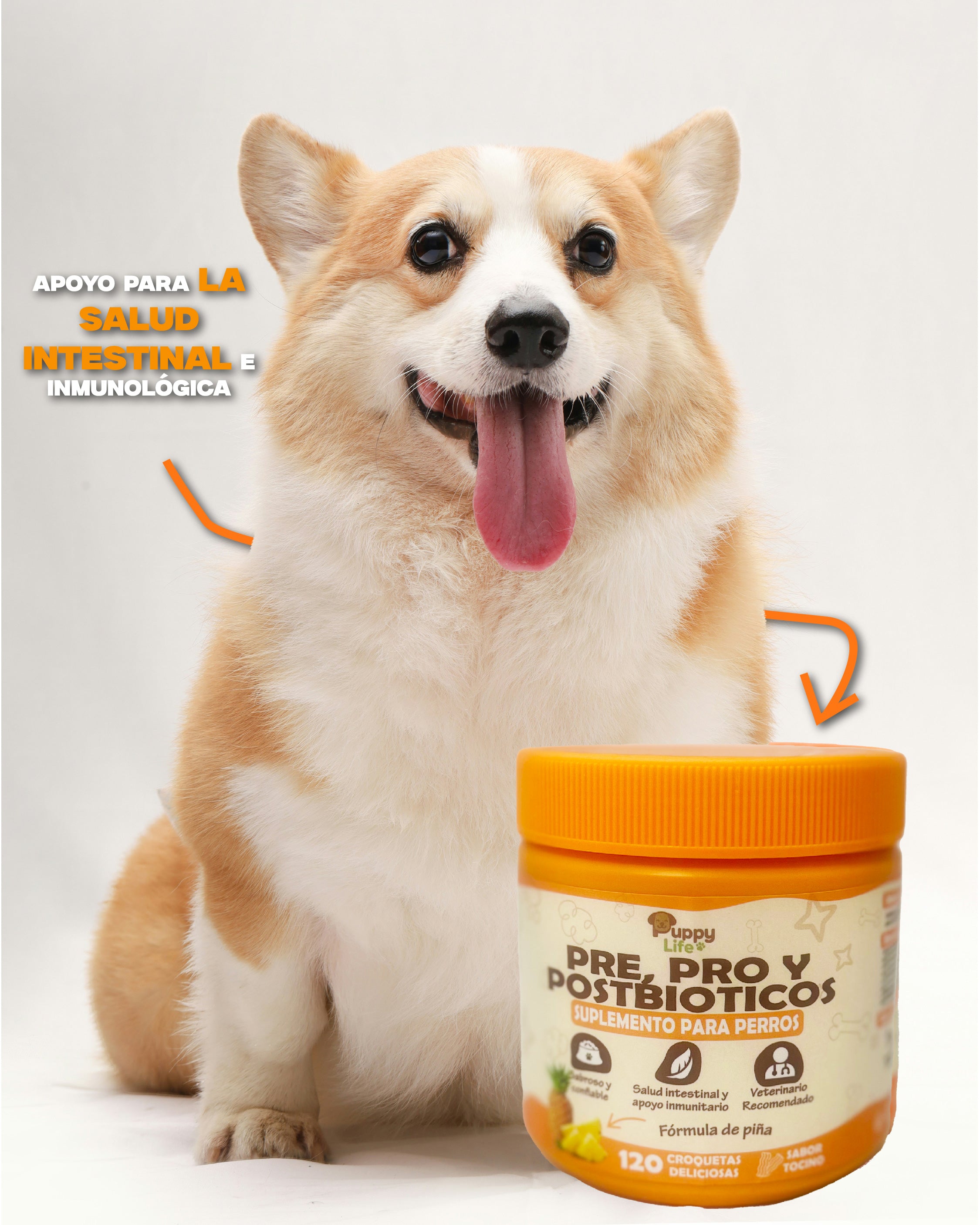 PRE, PRO & POSTBIOTICO