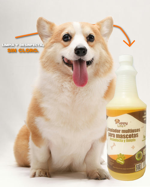 ELIMINADOR DE OLORES