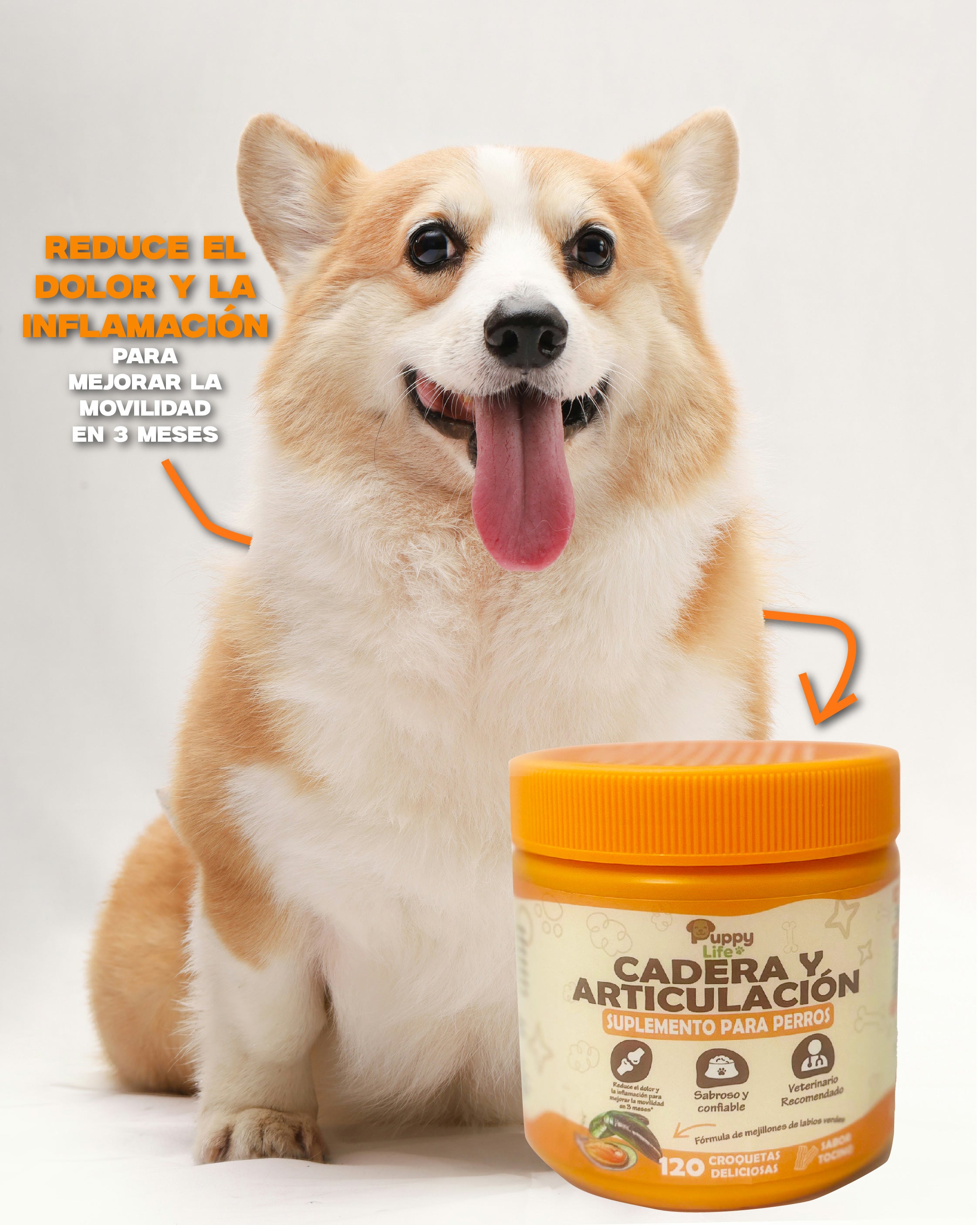 CADERA Y ARTICULACIONES